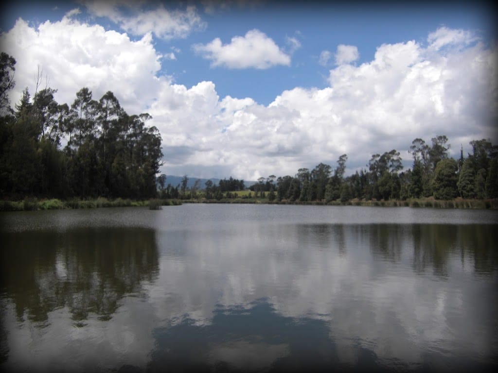 Photo of calm, relfecting Andean lake under blue sky and white puffy clouds.