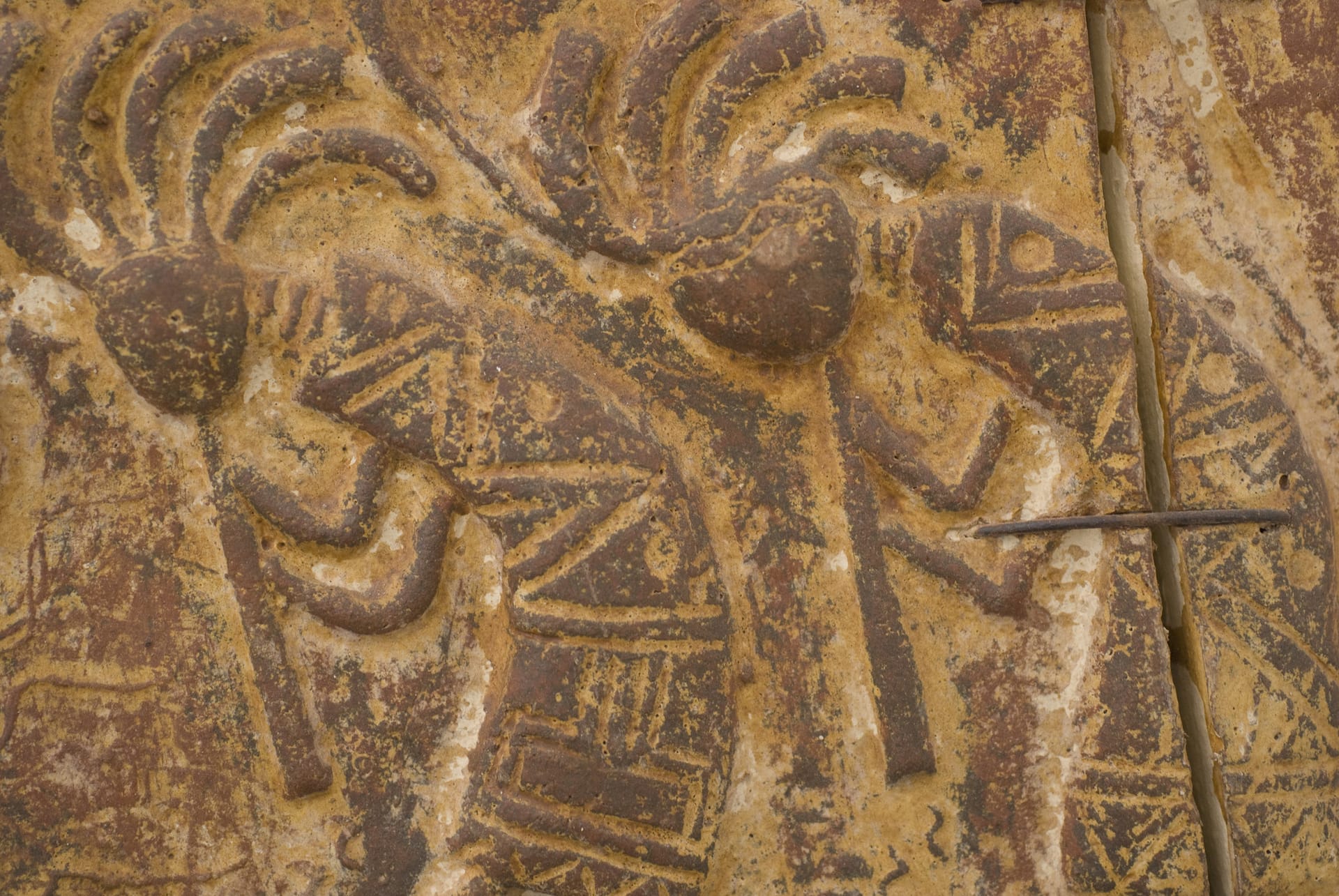 Enduring—exploring loss and joy following an election