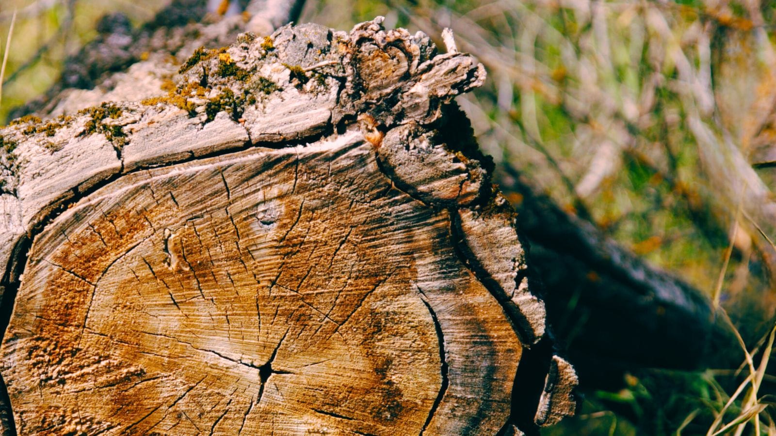 Where can you find a little good news?