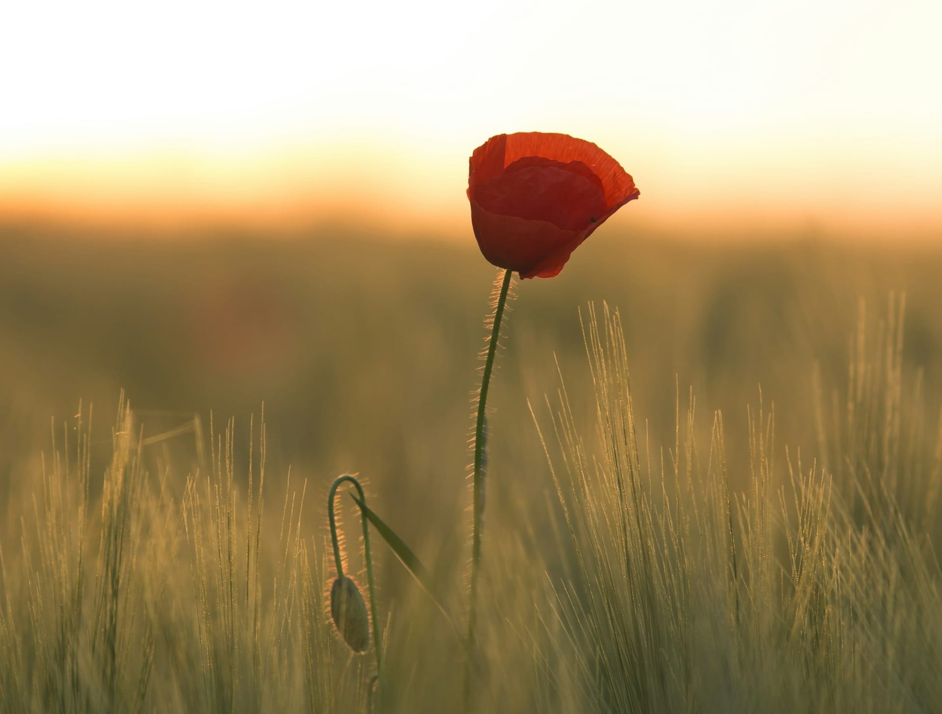 We are each a walking memorial