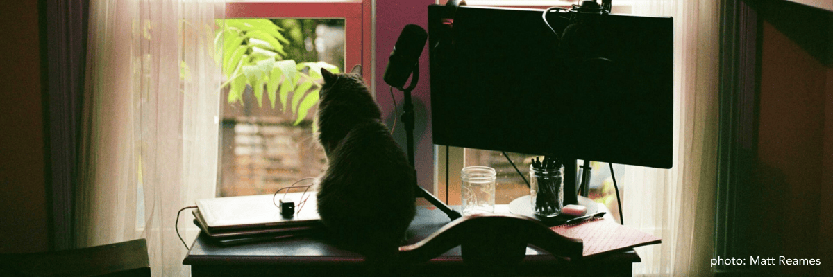 Talks, Interviews & Media