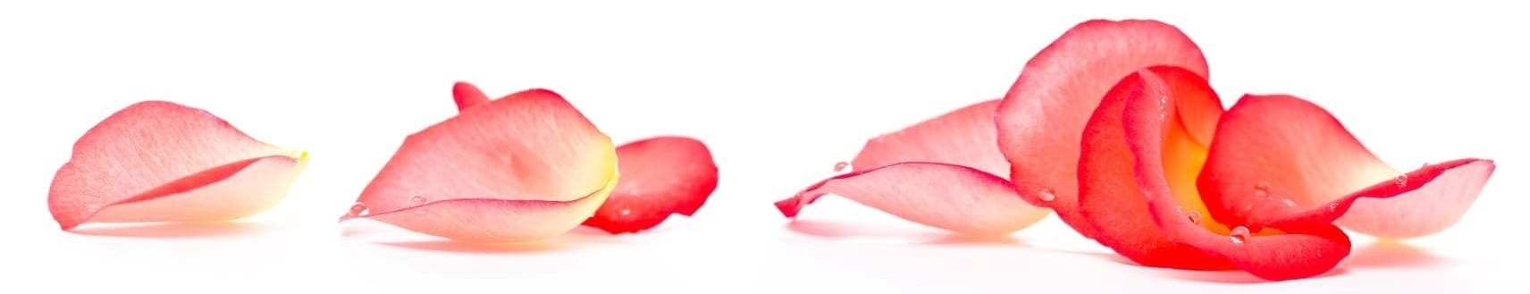 Grieving Us Audiobook Access