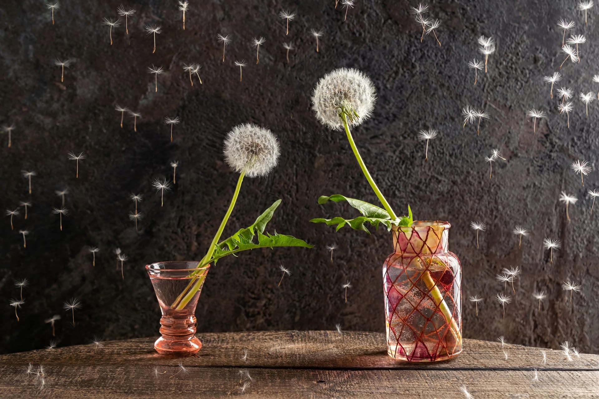 Photo of two dandelion thistles in separate vases of water that seem to be reaching for each other.
