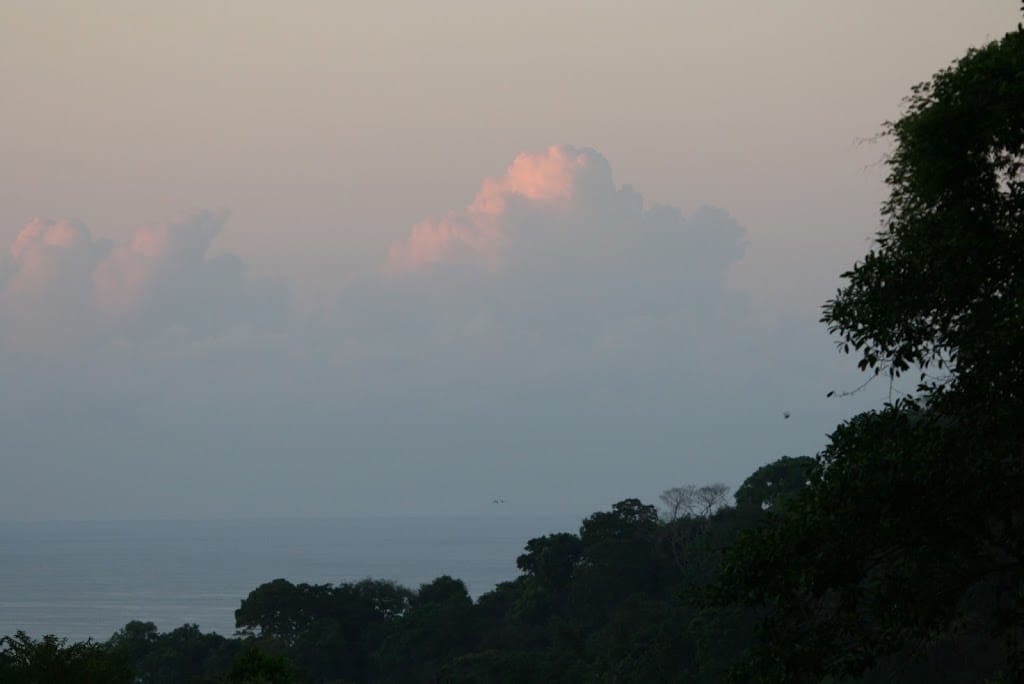 Photo of Costa Rican rainforest at the edge of the Pacific (Osa Peninsula, CR).
