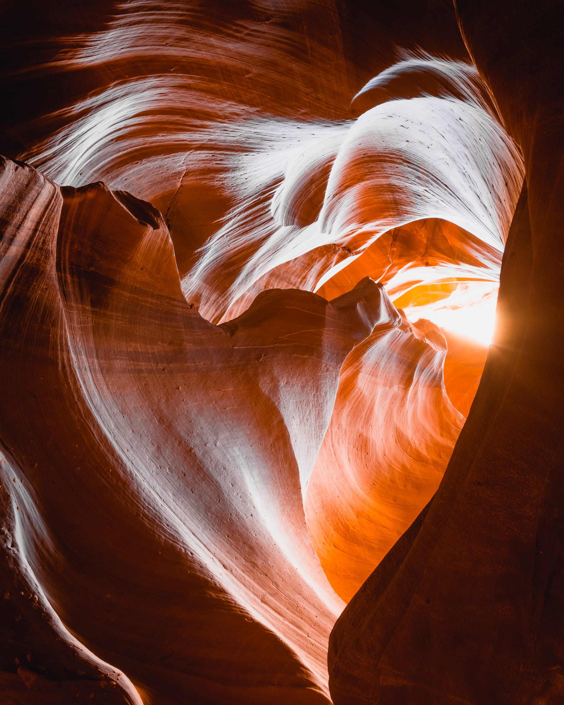 What You Need to Know