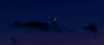 Saying 'thank you' for what you don’t want