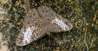 Feeling unseen? Trying seeing.