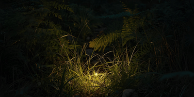 After Rain, Approaching Solistice