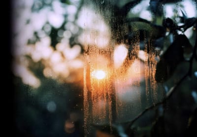 Session I: Setting Your 'Feeling Intention'