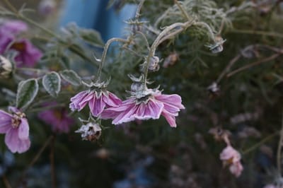 New Year’s Eve — Looking Back