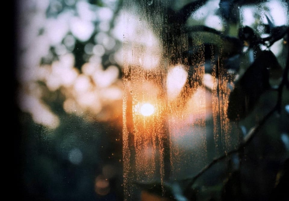 Session I: Setting Your 'Feeling Intention'